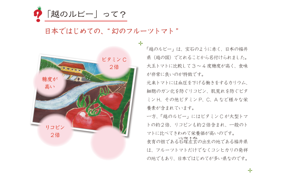 越のルビーって？